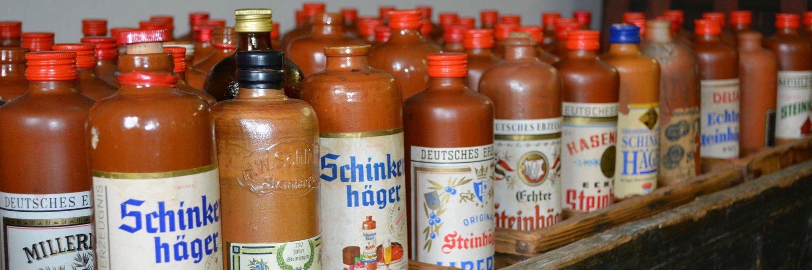 Steinhagen Gymnasium 002