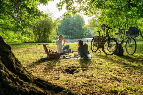 Tutoburger Wald Tourismus | P. Gawandtka