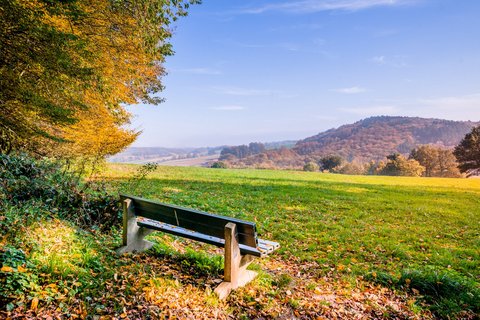 Mario Wallenfang Mario Wallenfang