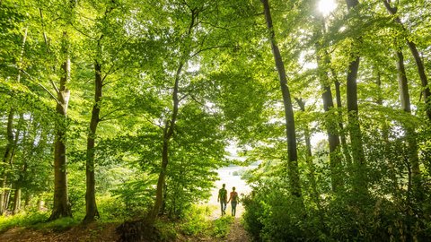 Teutoburger Wald Tourismus/Dominik Ketz Teutoburger Wald Tourismus/Dominik Ketz