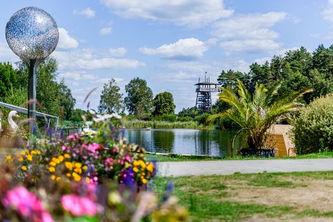 Mario Wallenfang Mario Wallenfang