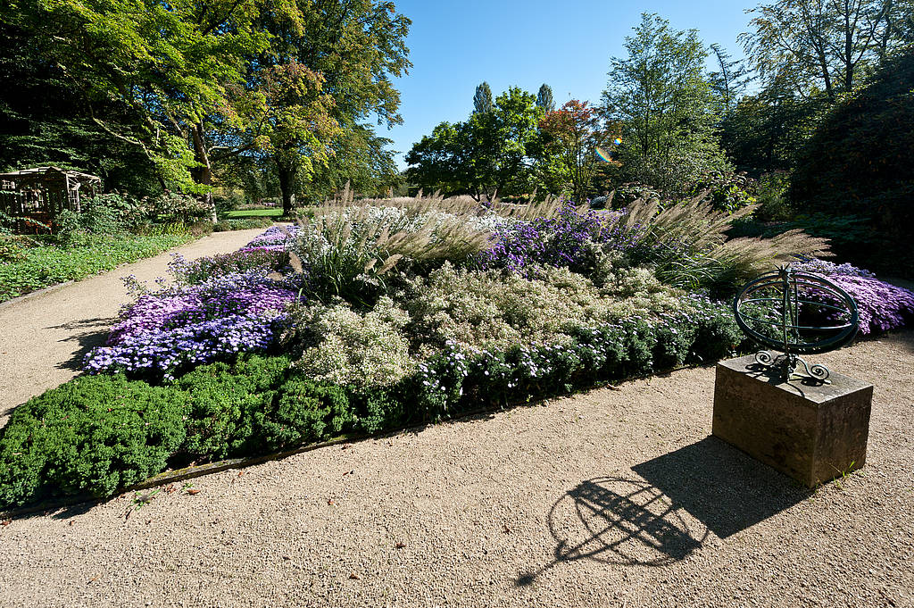 Foto: Detlef Güthenke