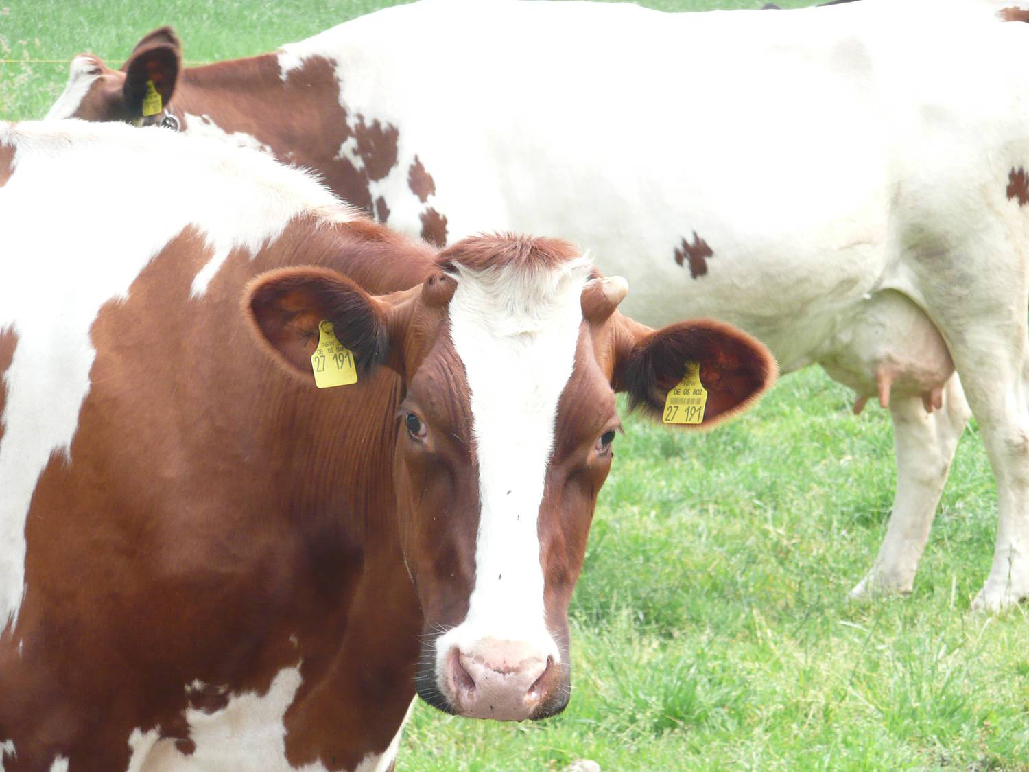 Erlebnishof Lönne-Tiekmann