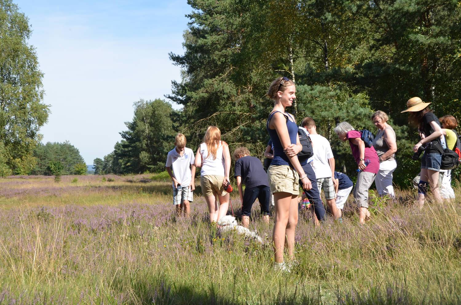 Heidetour Truppenübungsplatz