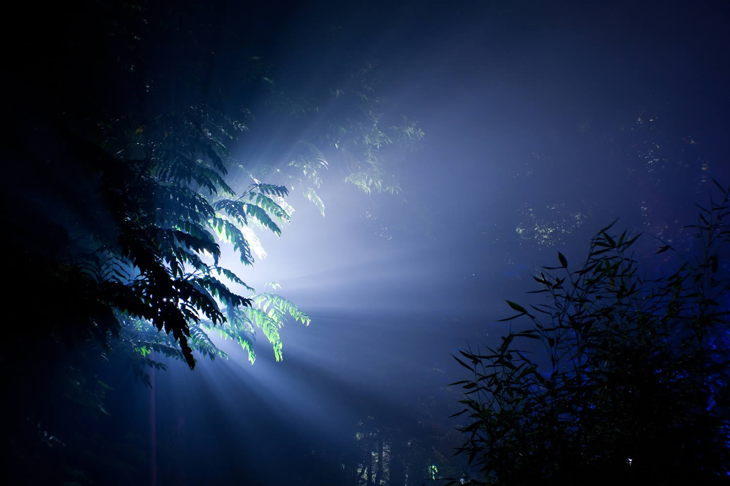 Rietberger Nachtgeschichte(n)