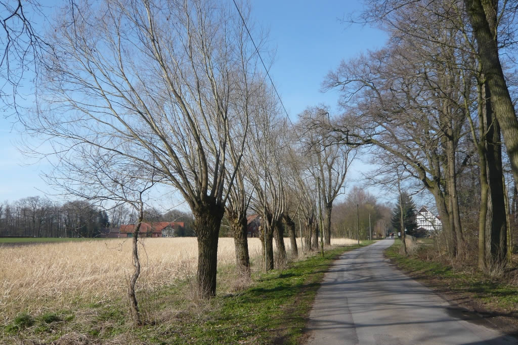 Joggingrouten