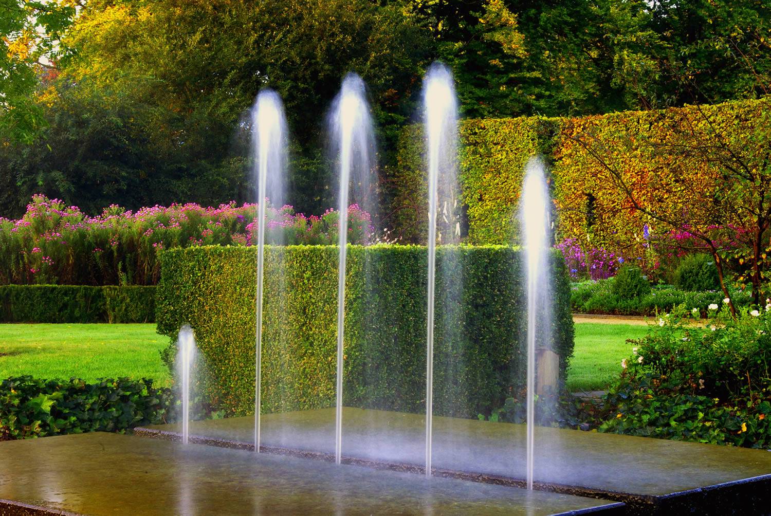 Wunderbaum - Rizinusstrauch im Stadtpark Botanischer Garten Gütersloh