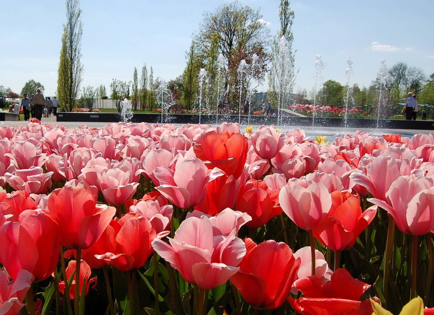 Führung durch den Gartenschaupark