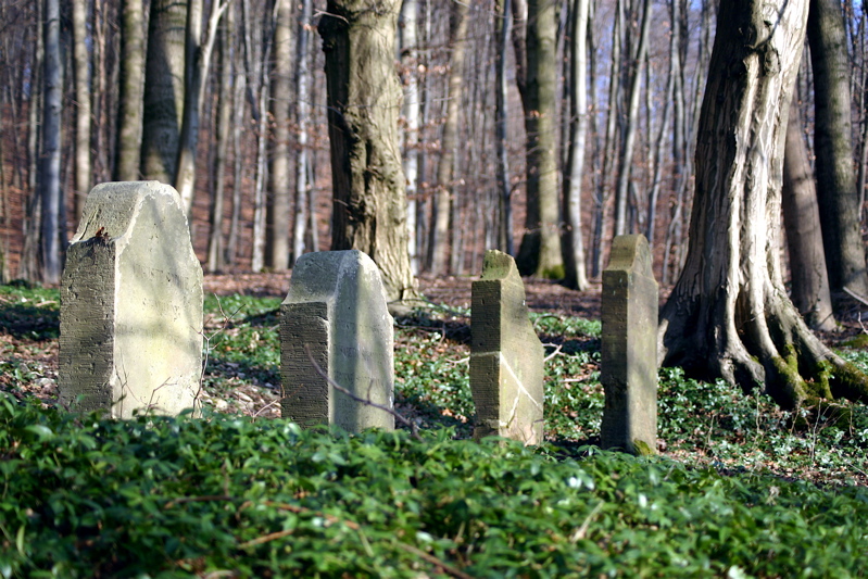 Geschichtspfad Waldergräbnisse