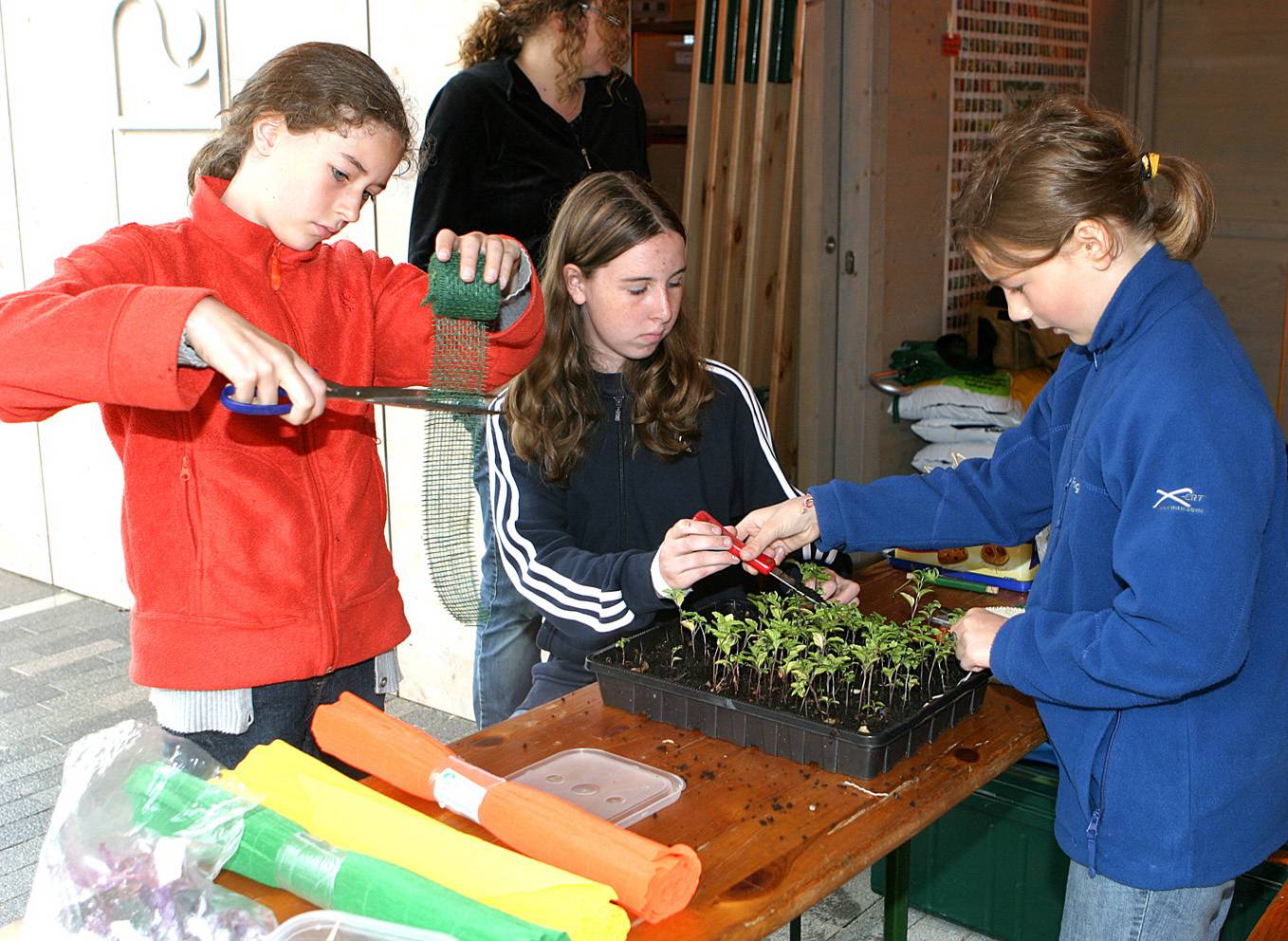 Grünes Klassenzimmer