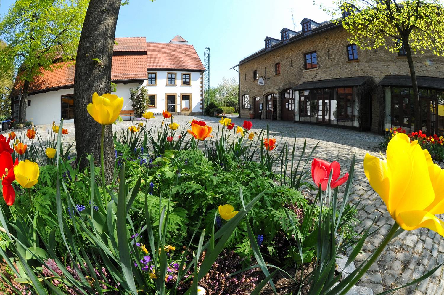 Halle Bürgerzentrum