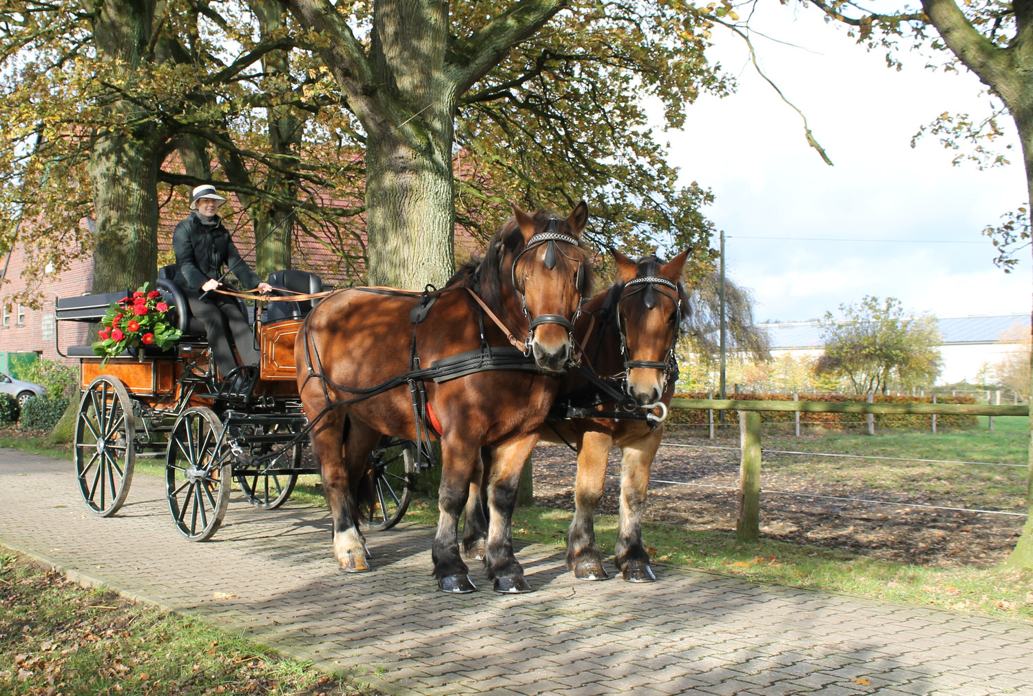 Kutschfahrt im Münsterland