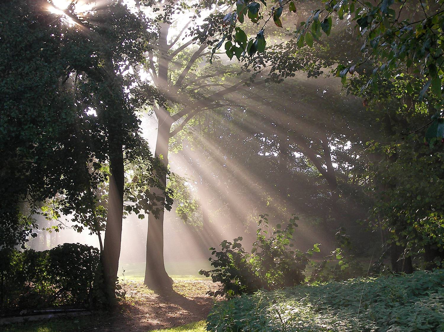 Mooslehrpfad am Hengeberg