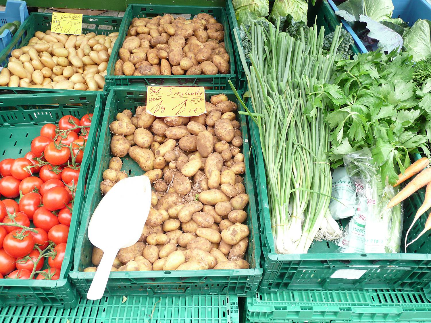 Kiebitzhof Erlebnisse