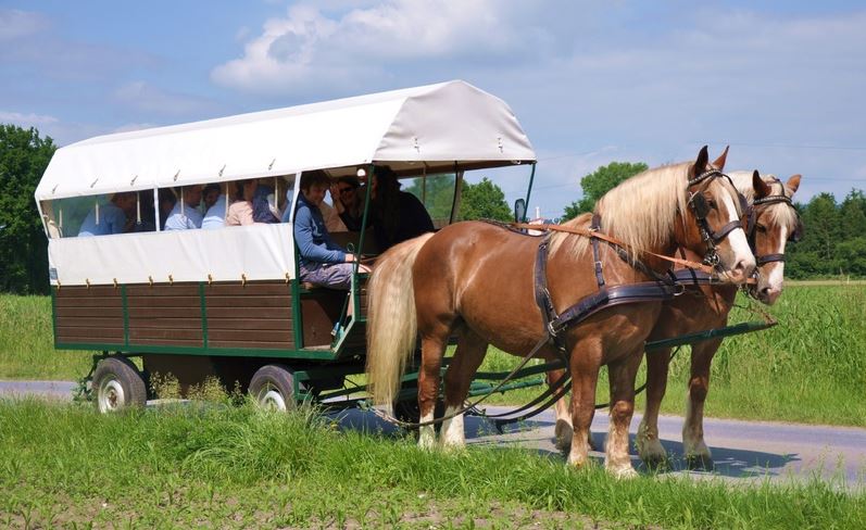 Planwagenfahrten Hof Kell