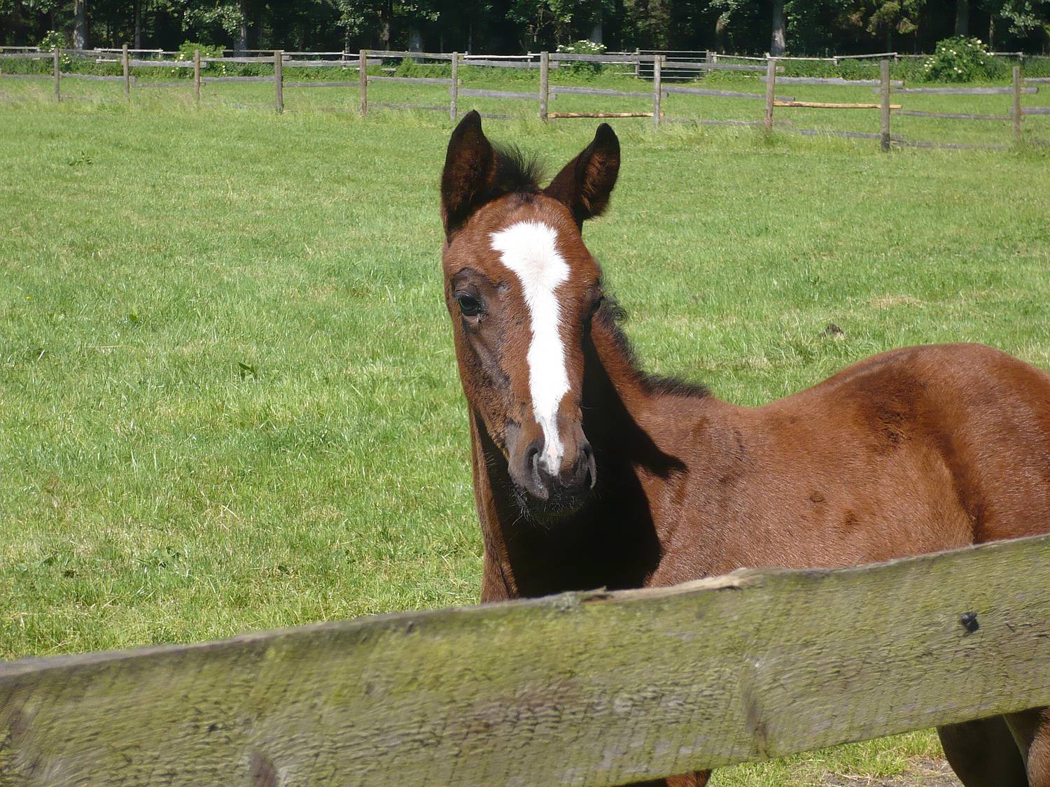 Spiekerhof Borgholzhausen