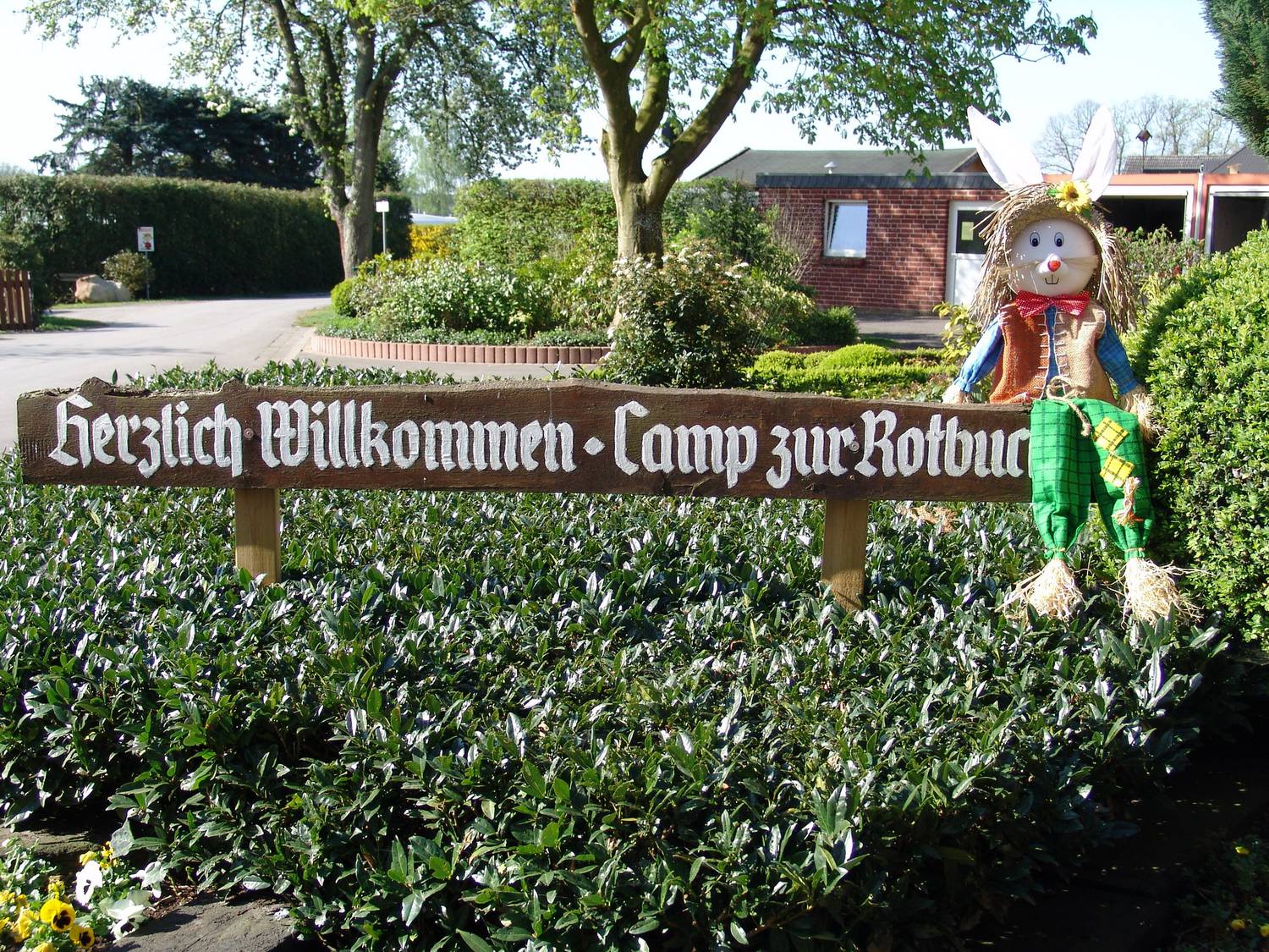 Camp zur Rotbuche