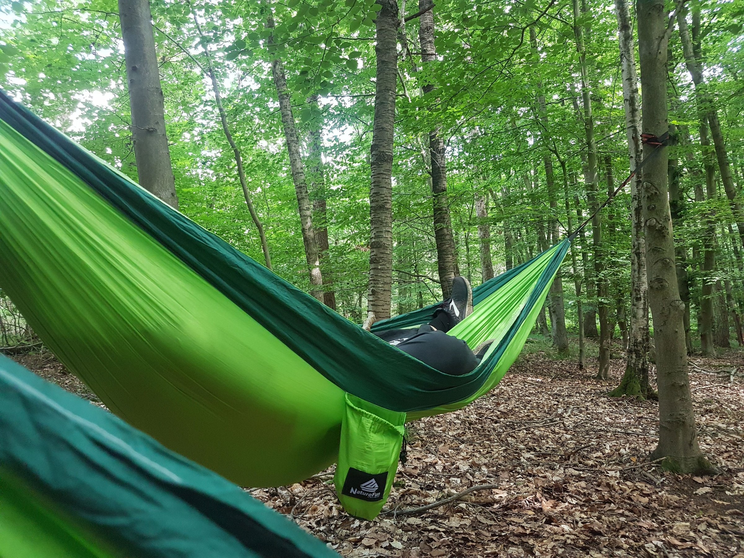 Achtsamwald - Waldbaden 