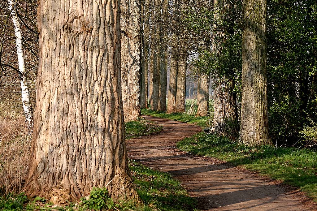 Foto: Gütersloh Marketing