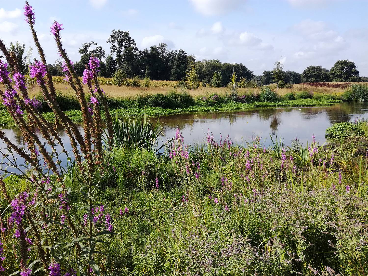 Wassererlebnispfad an der Dalke